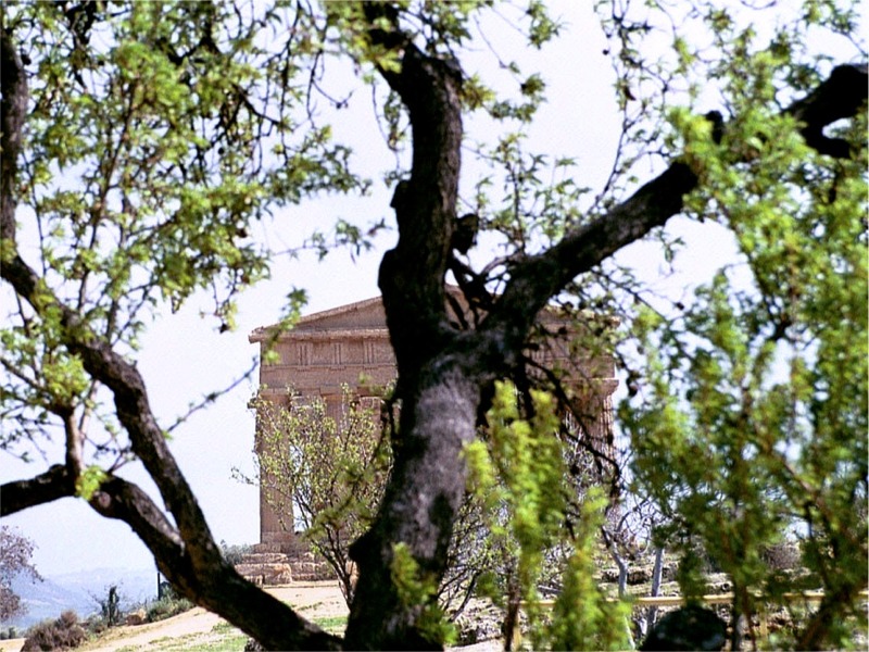 it sic arg 10808_23.jpg